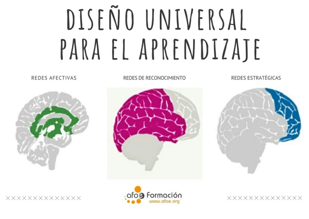 principios dua en educacion afoe